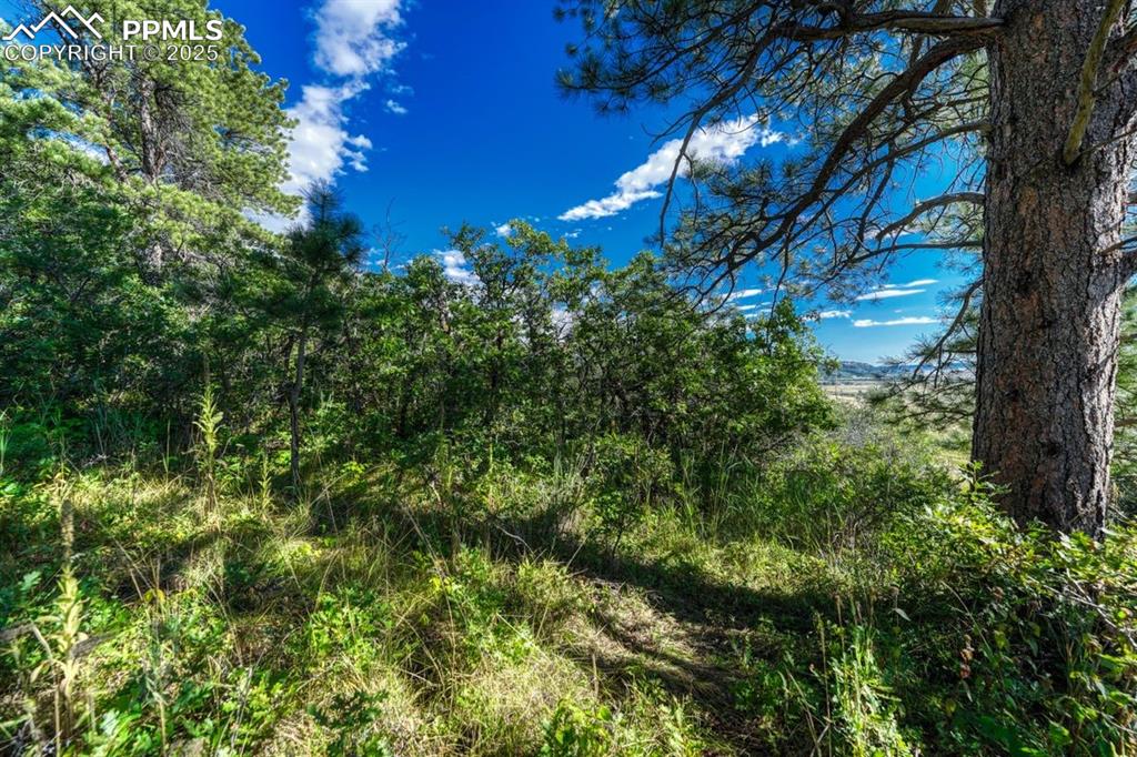 Image 6 of 37: Other