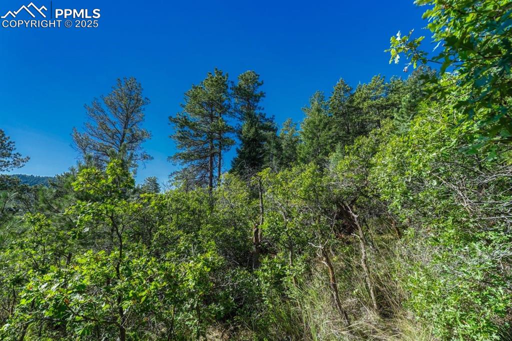 Image 7 of 37: Other