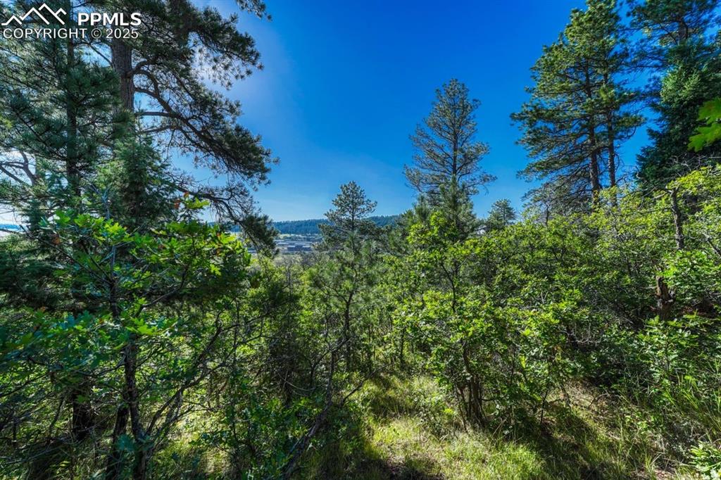 Image 8 of 37: Other