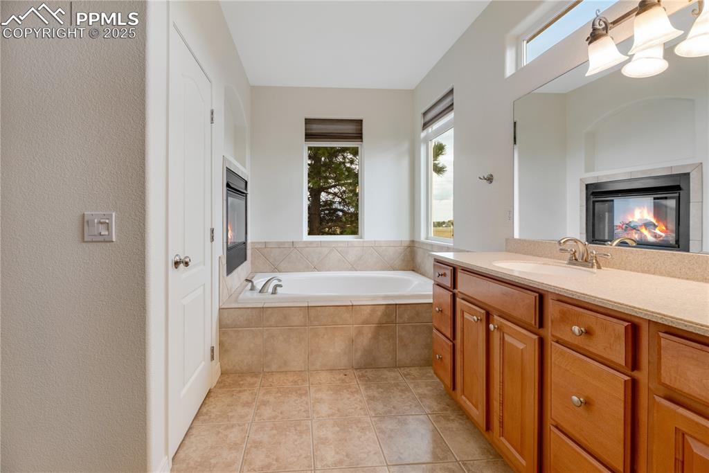 Image 26 of 48: Bathroom featuring a tile fireplace, plenty of natural light, a bath, vanit