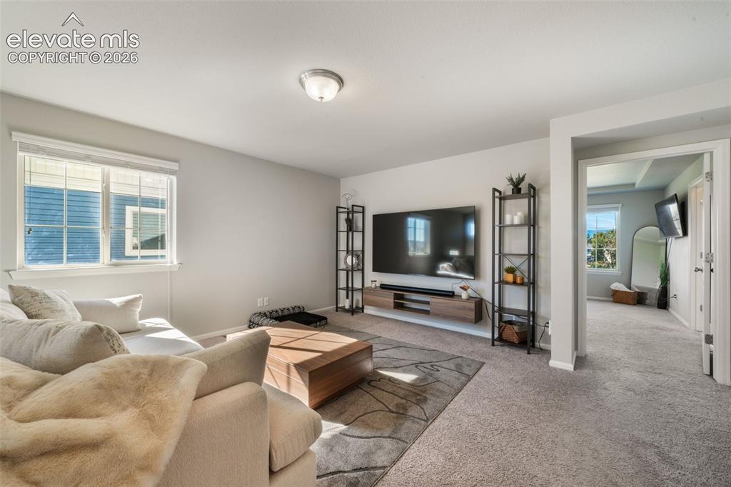 Image 20 of 48: Wall-mounted television with a floating media console and light gray carpet