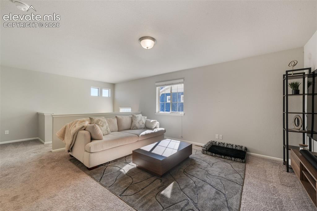 Image 22 of 48: Carpeted open loft area with a partial wall, multiple windows, and a flush