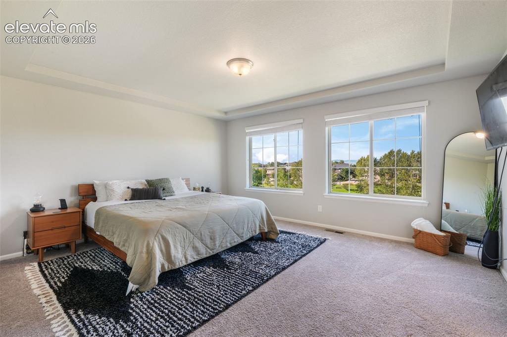 Image 23 of 48: Recessed tray ceiling, neutral wall color, two large windows, and carpet fl
