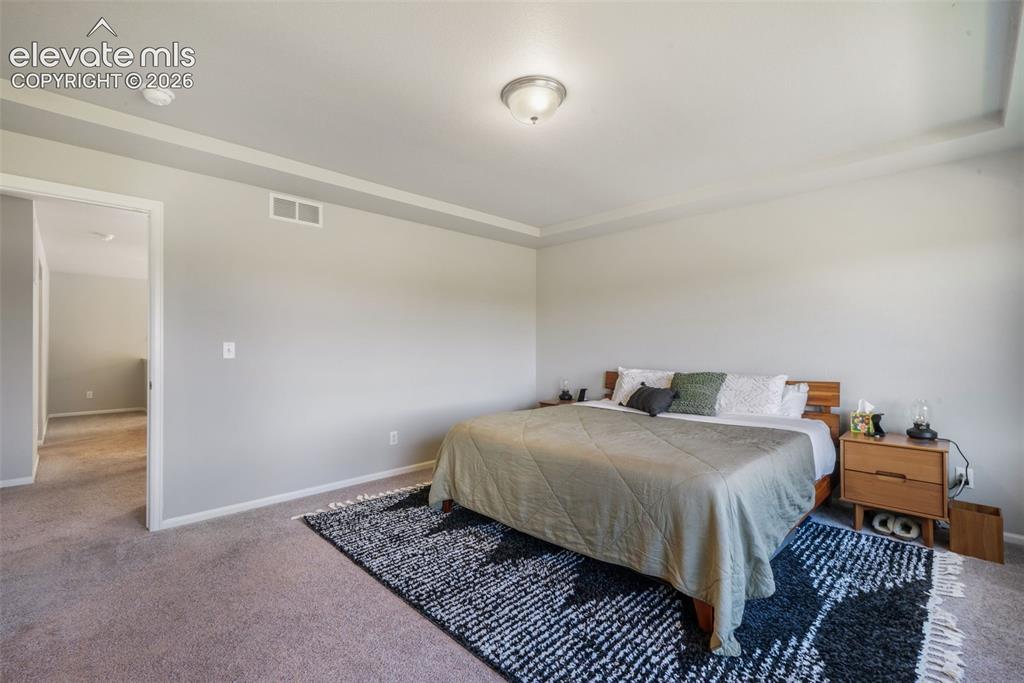 Image 25 of 48: Tray ceiling, flush mount lighting, light gray wall paint, carpet flooring,