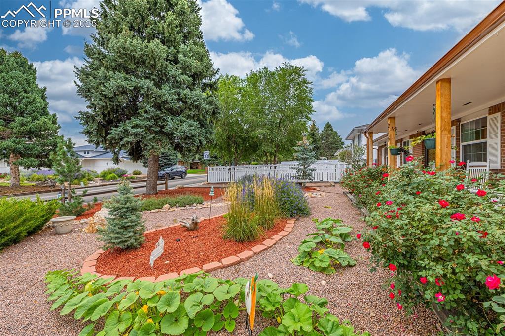 Image 4 of 43: View of yard