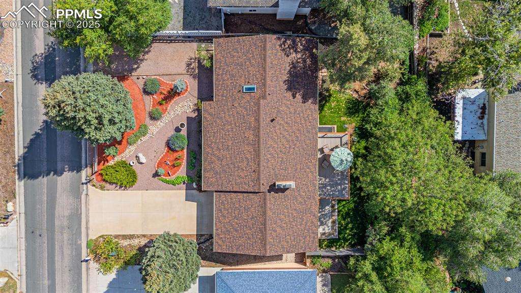 Image 43 of 43: Bird