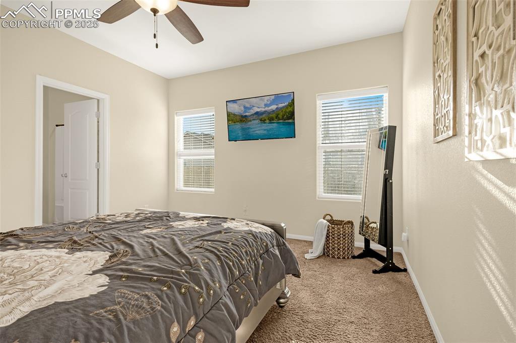 Image 14 of 28: Bedroom with baseboards, a ceiling fan, carpet flooring, and multiple windo