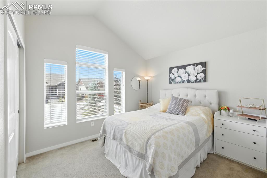 Image 21 of 40: Bedroom on Main Level, Vaulted ceilings with light colored carpet, multiple