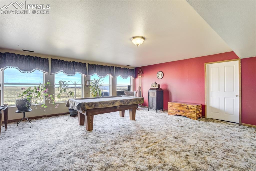 Image 20 of 44: Walkout basement.