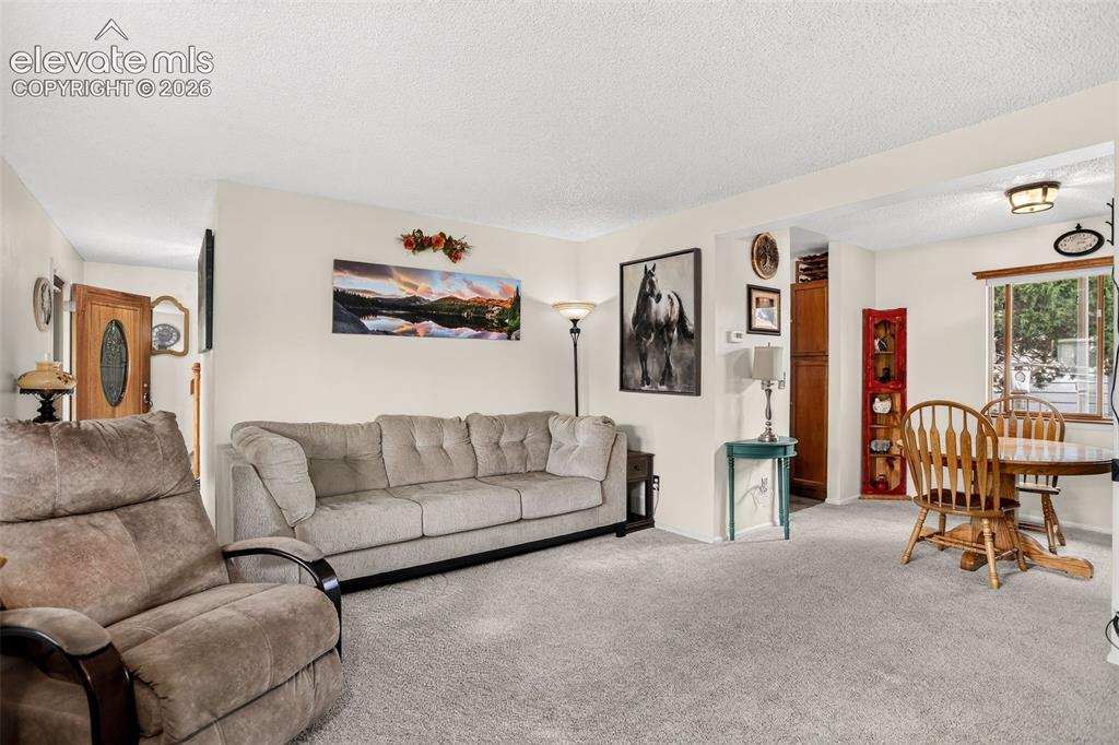 Image 19 of 41: Living Room