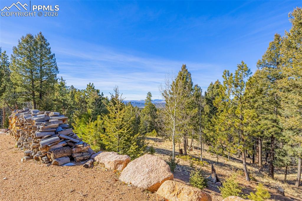 Image 40 of 47: Yard