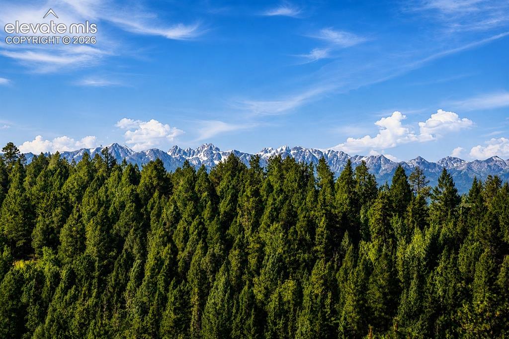 Image 4 of 37: View