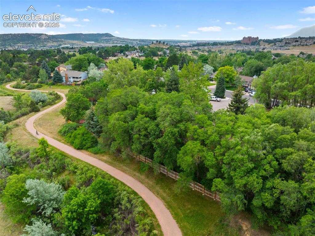 Image 35 of 42: Winding natural trail bordered by mature trees and natural landscaping