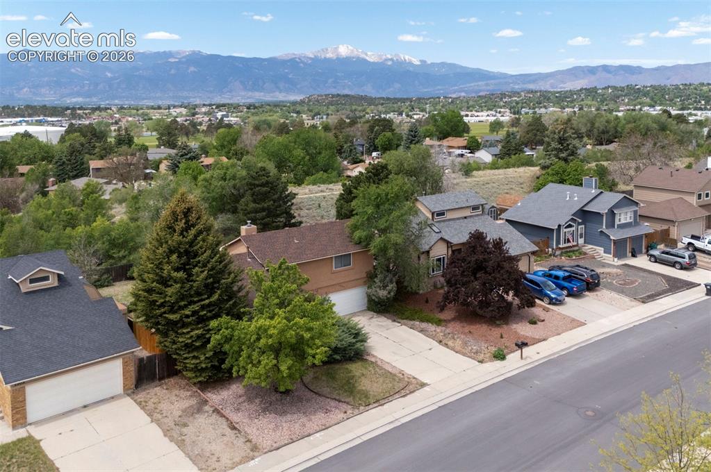 Image 4 of 43: Suburban streetscape featuring diverse architectural styles, mature trees,