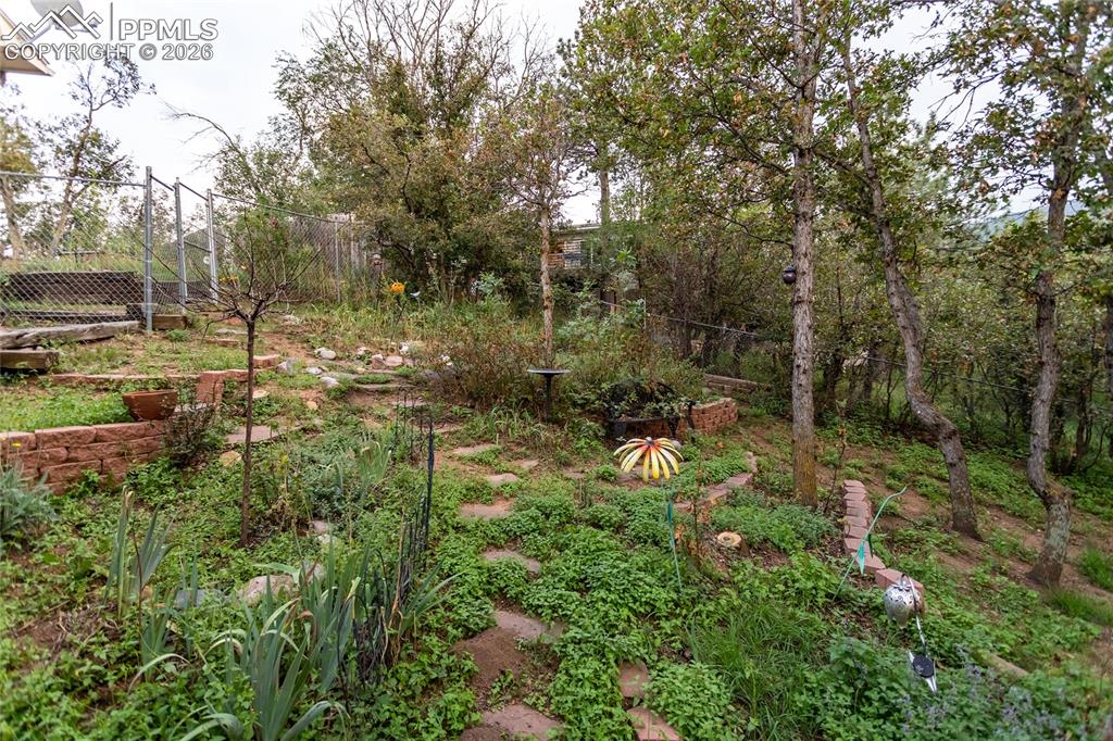 Image 44 of 50: Yard