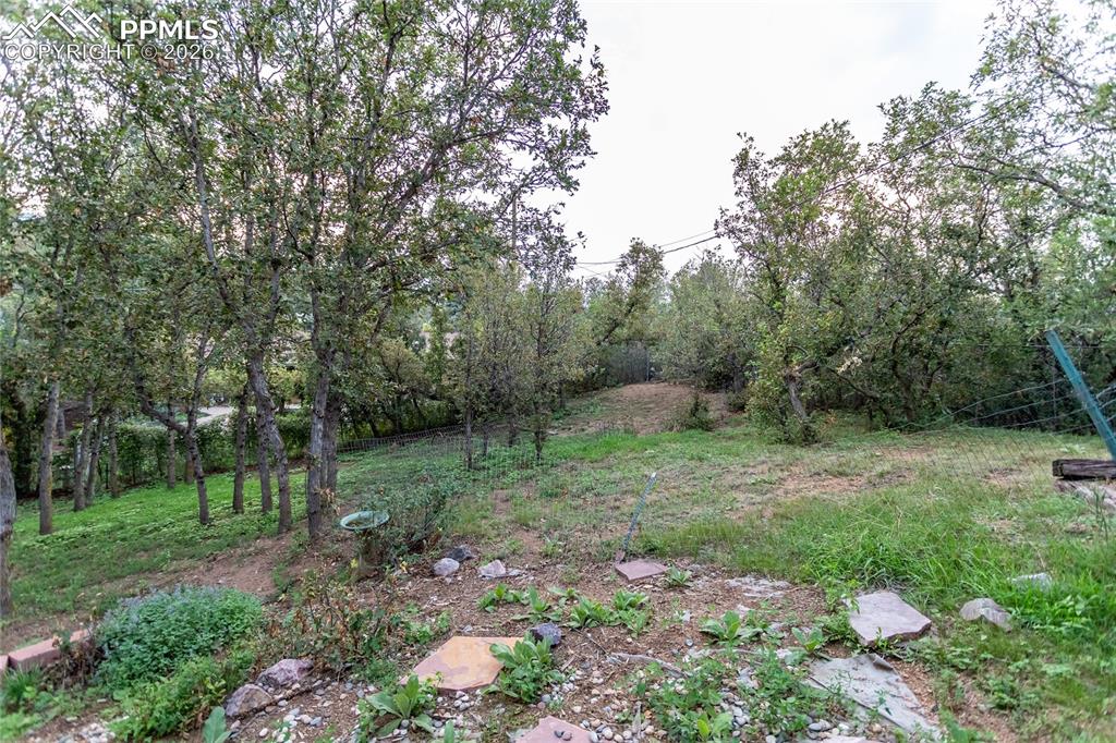 Image 45 of 50: Yard