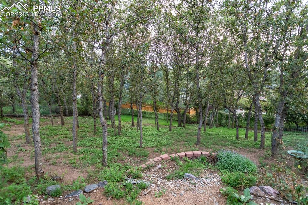 Image 46 of 50: Yard