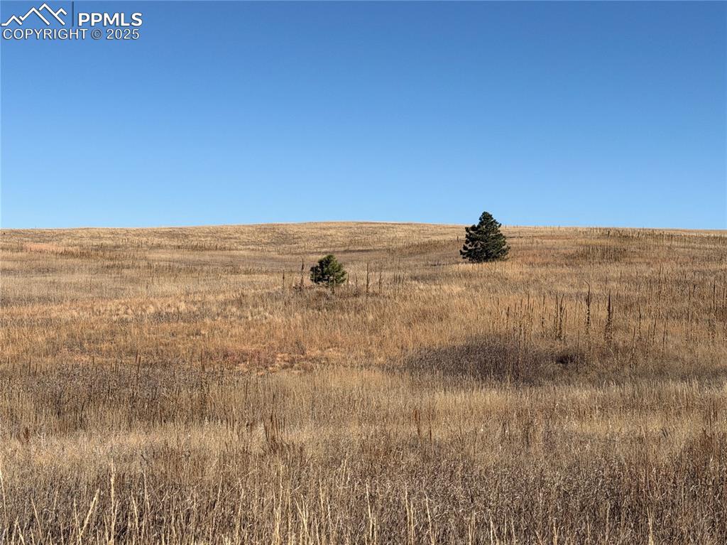 Image 2 of 10: Other