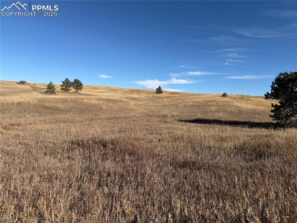 Image 5 of 10: Other