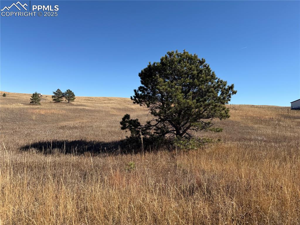 Image 8 of 10: Other