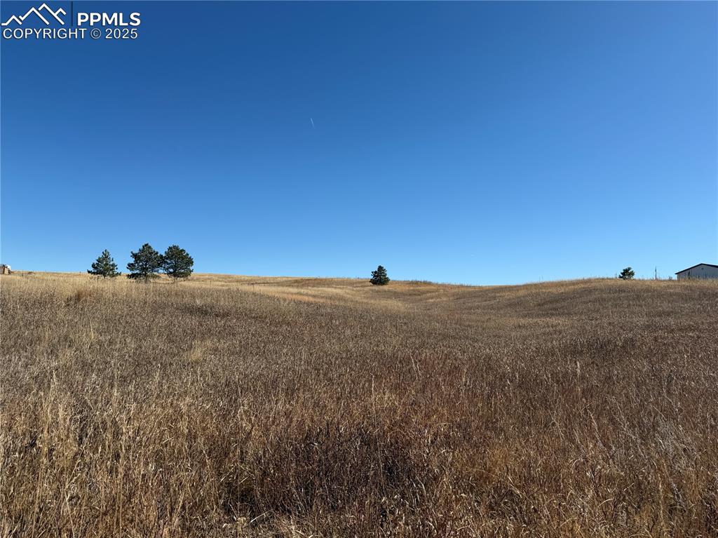 Image 9 of 10: Other