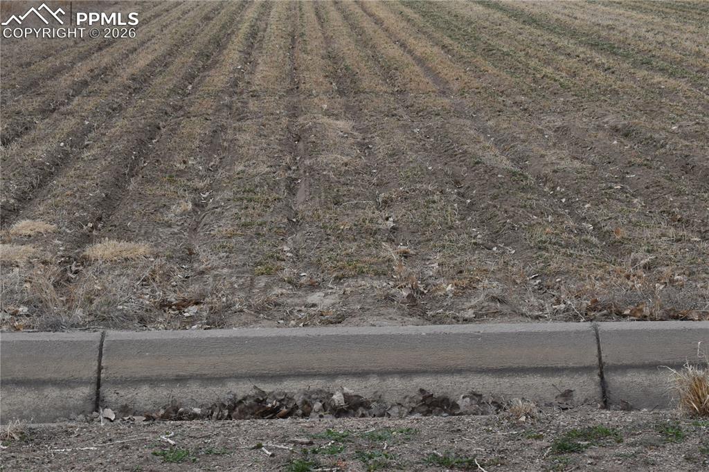 Image 6 of 24: Other