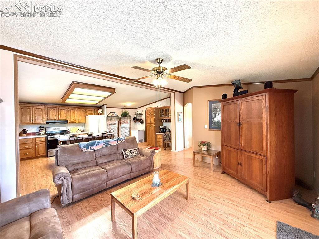 Image 33 of 50: Living Room