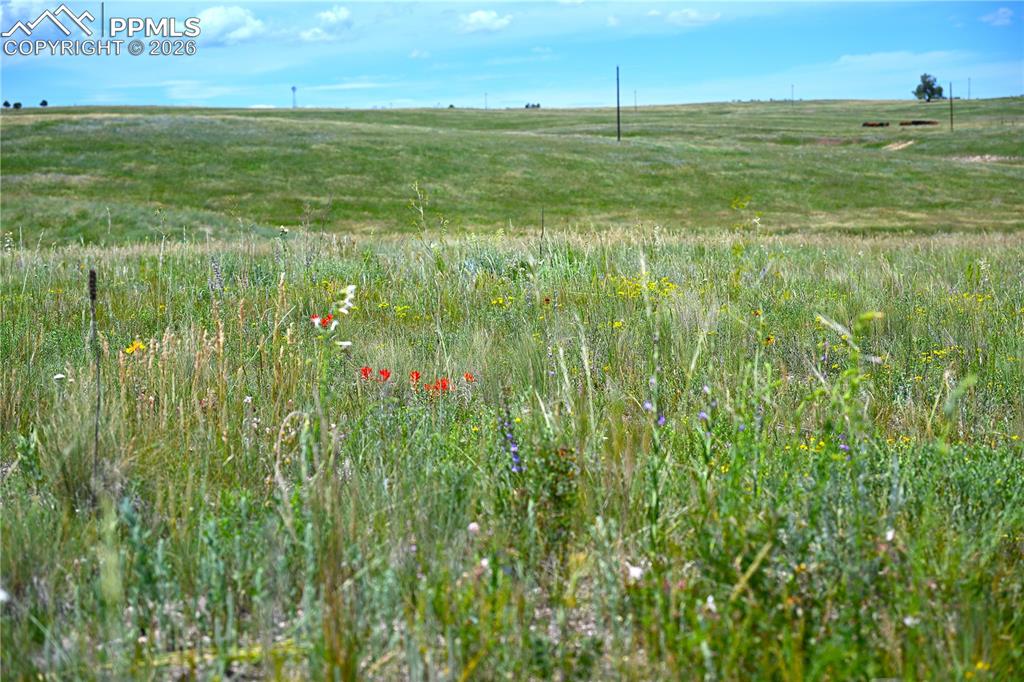 Image 13 of 49: Other