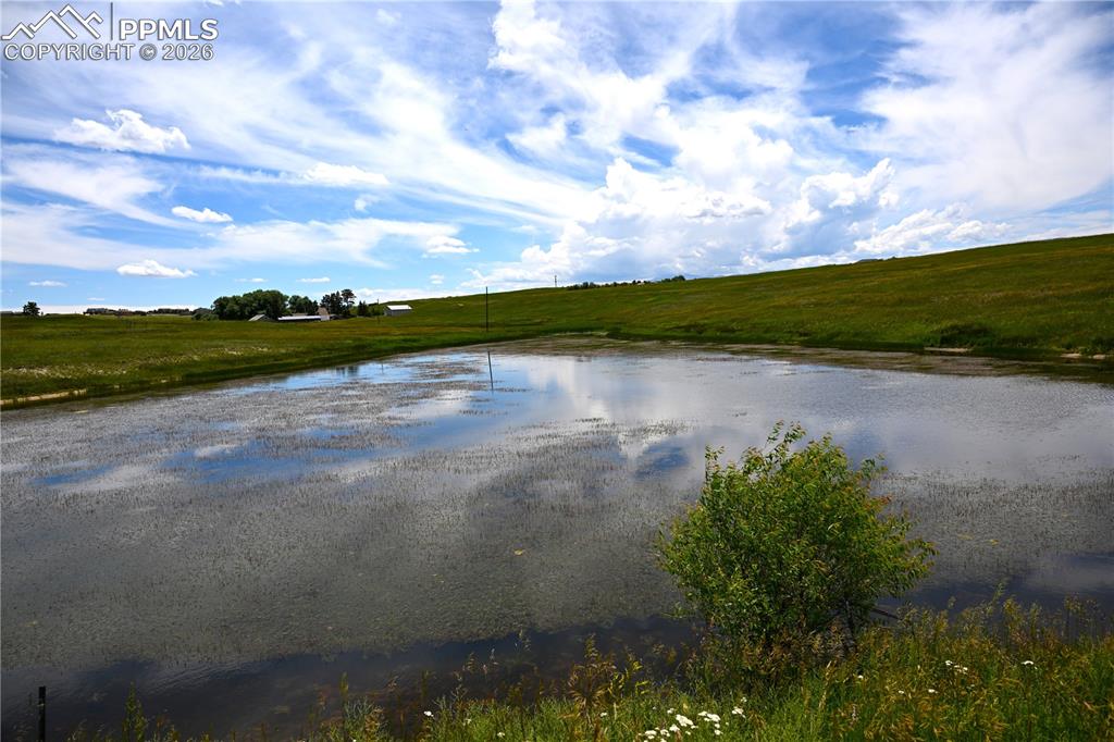 Image 14 of 49: View