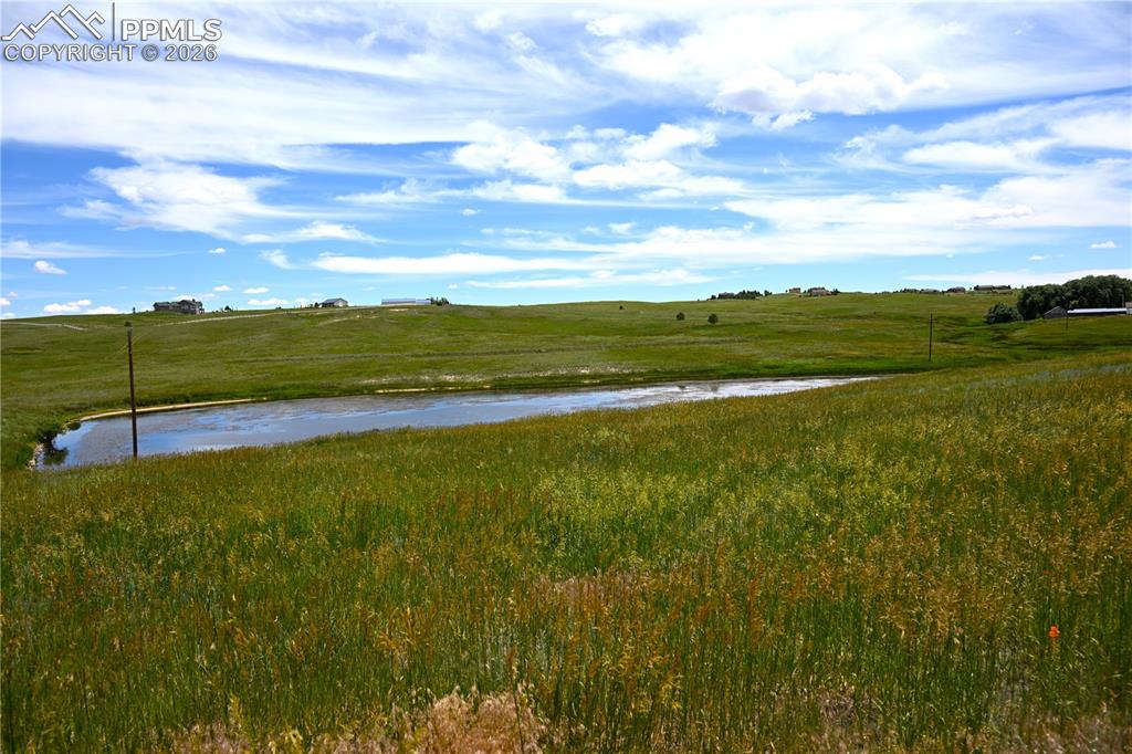 Image 16 of 49: View