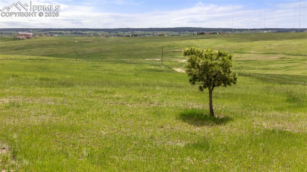 Image 18 of 49: Other