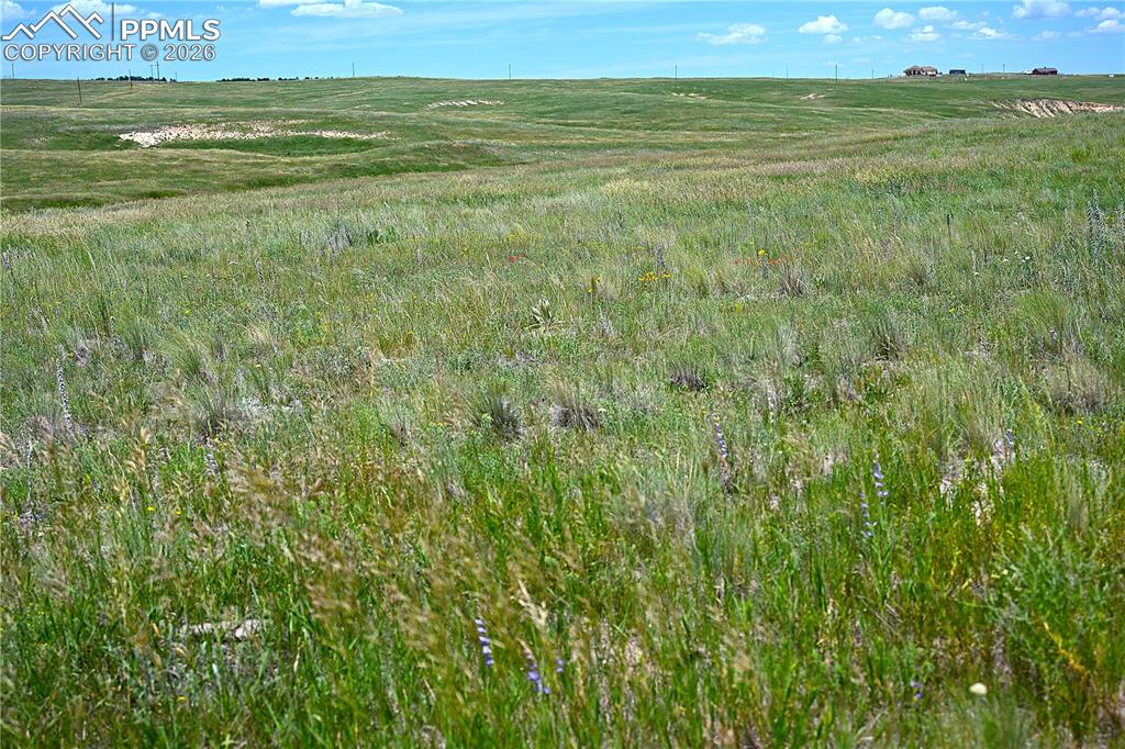 Image 38 of 49: Other