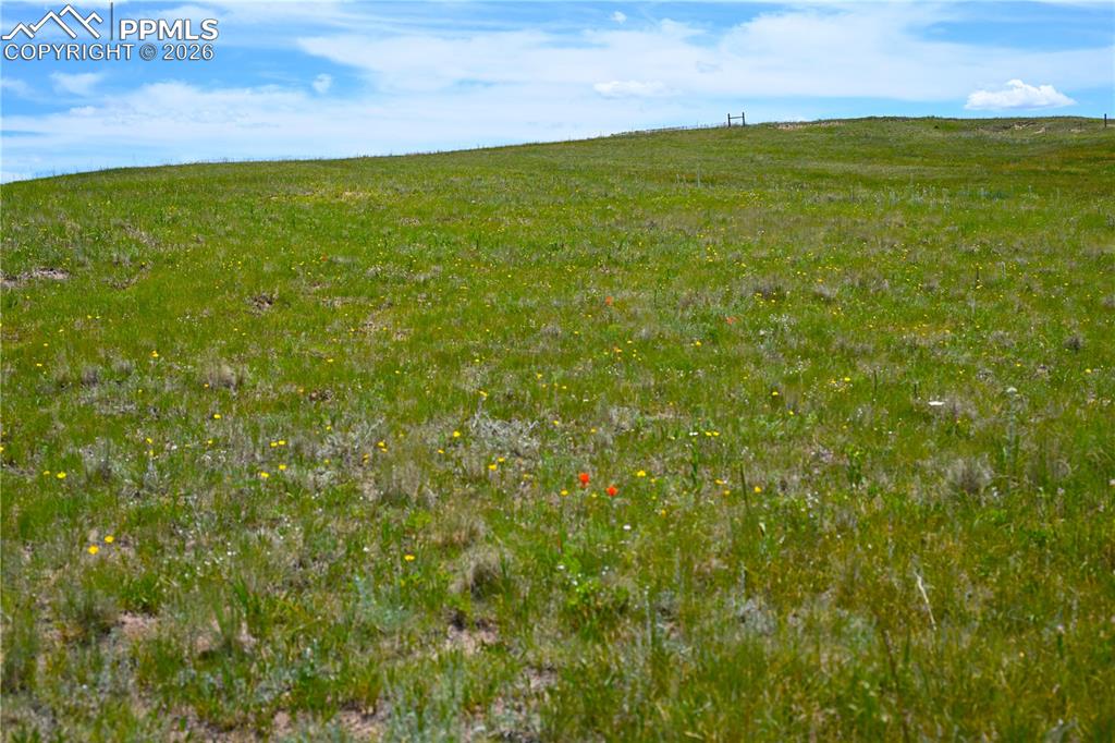 Image 45 of 49: Other