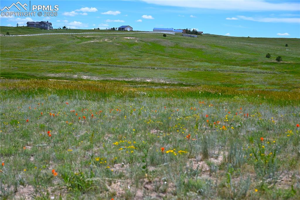 Image 49 of 49: Other