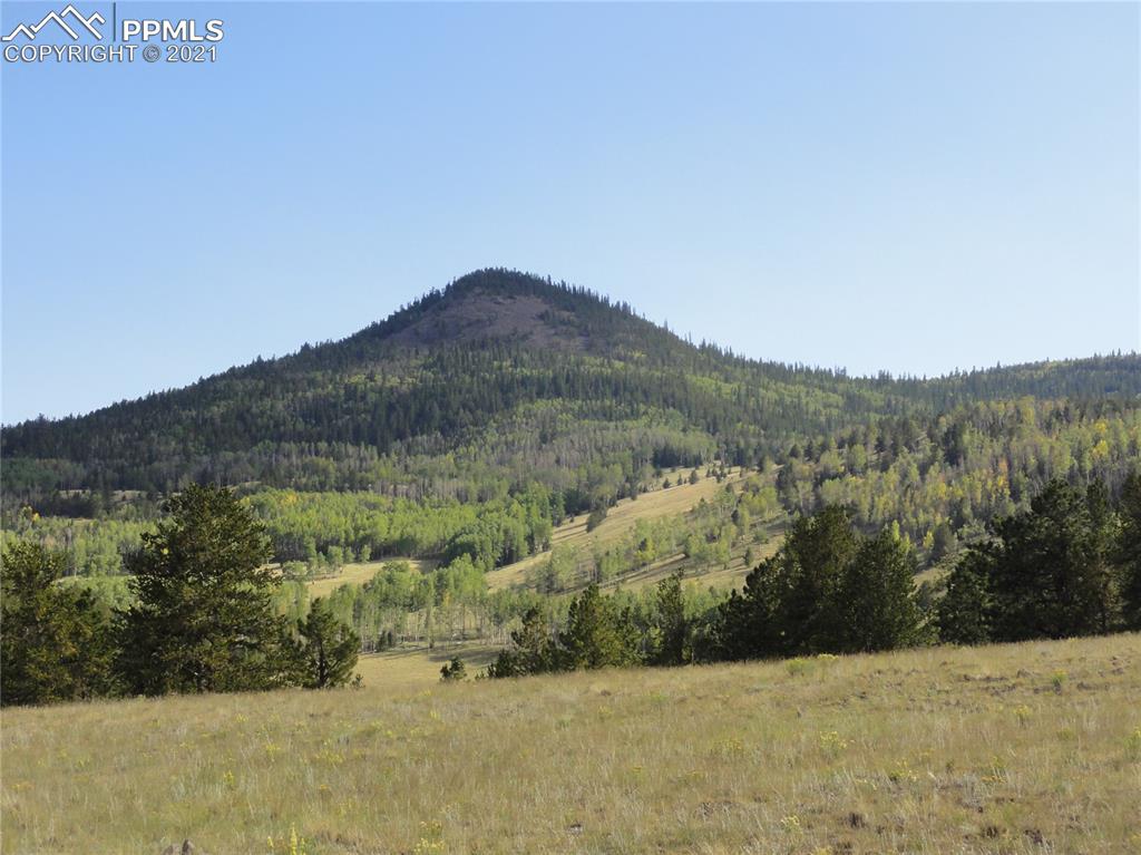 Listing 4189737, Image 22 of 32