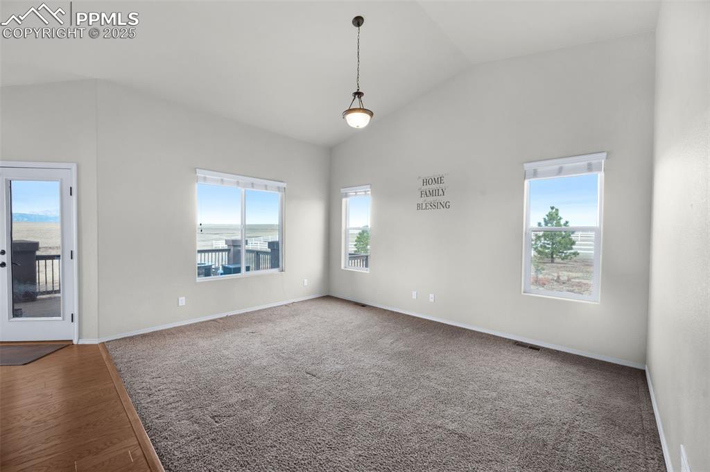 Image 16 of 49: Other