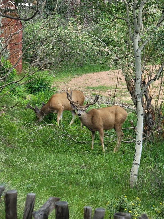 Image 33 of 45: Other