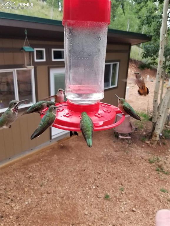 Image 35 of 45: Other