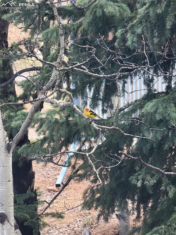 Image 37 of 45: Other