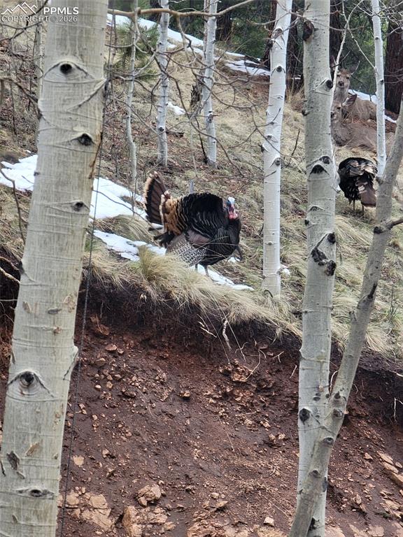 Image 38 of 45: Other