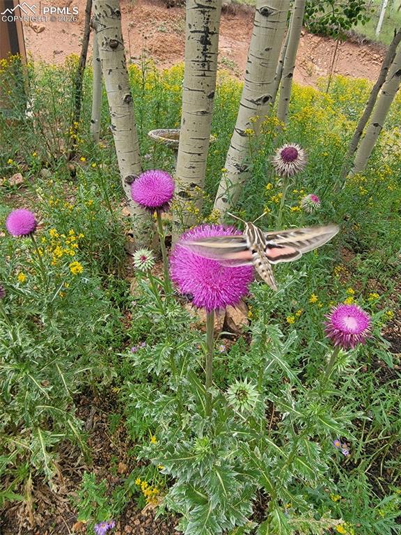 Image 41 of 45: Other