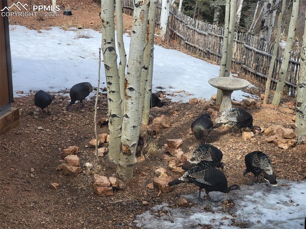 Image 42 of 45: Other