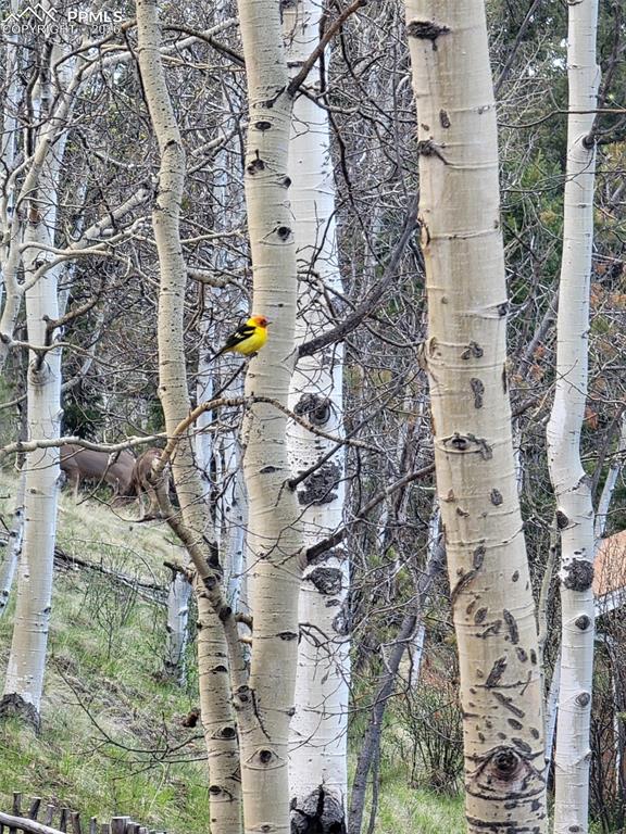 Image 43 of 45: Other