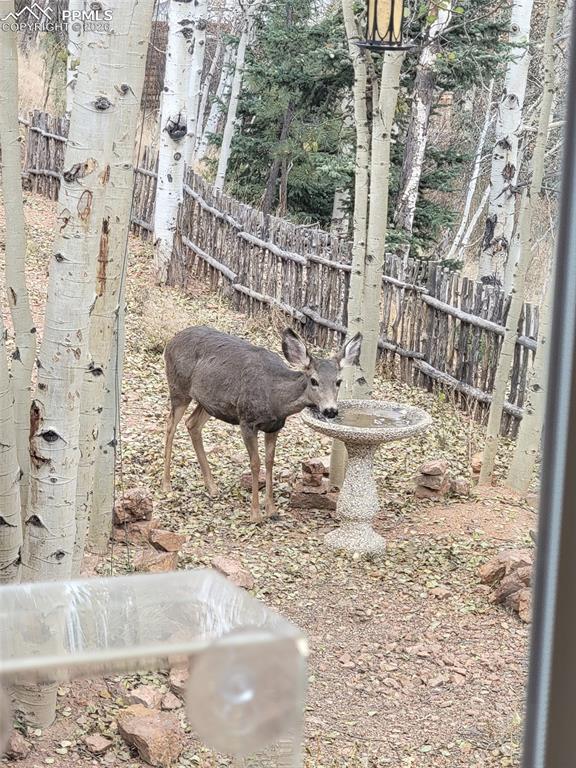 Image 44 of 45: Other