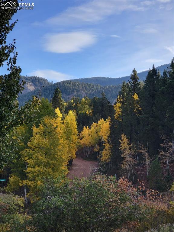 Image 45 of 45: View