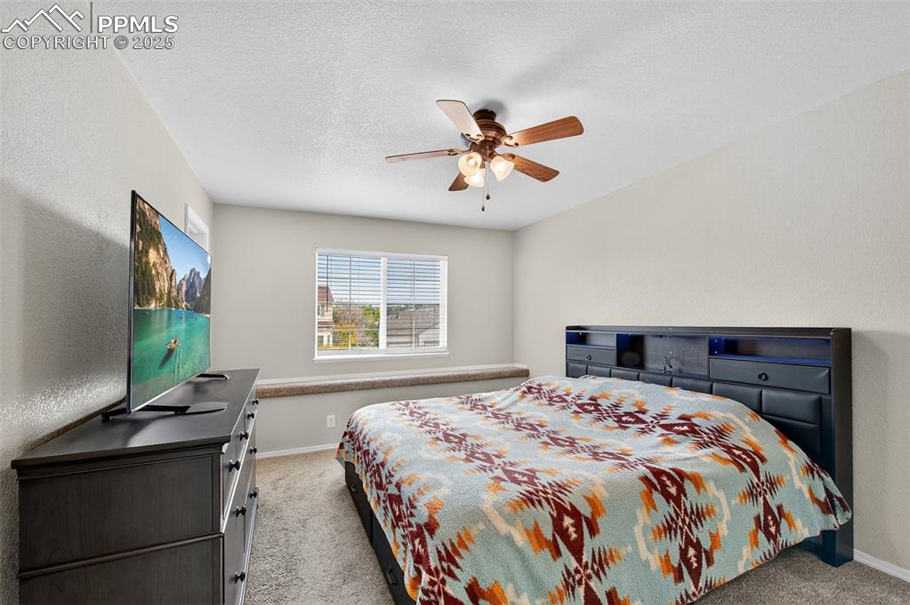 Image 15 of 46: Primary