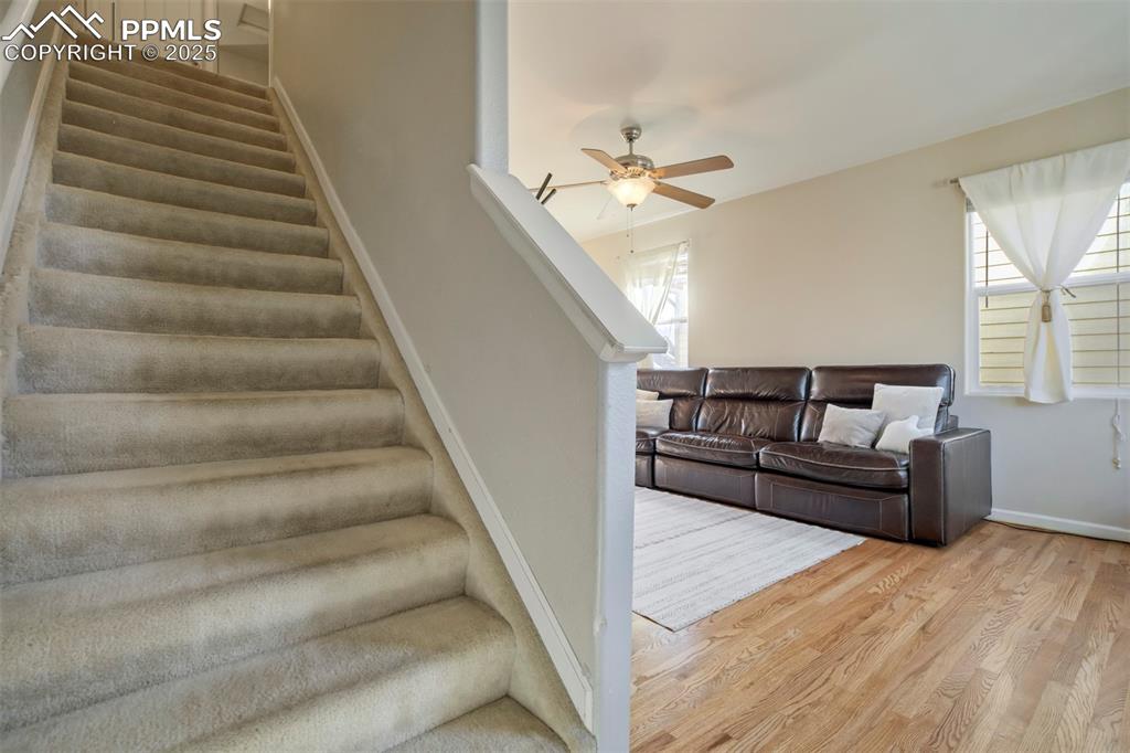 Image 15 of 29: Other