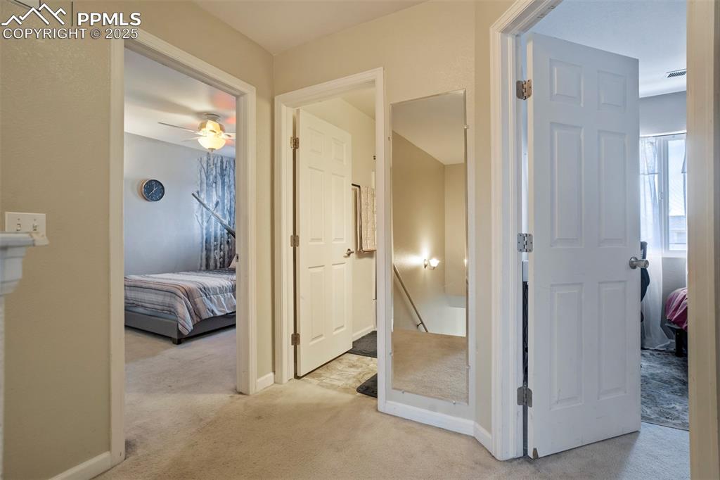 Image 16 of 29: Other