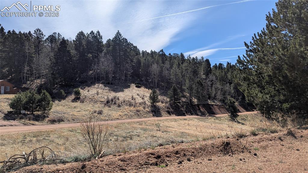 Image 4 of 6: Varietal terrain and vegetation