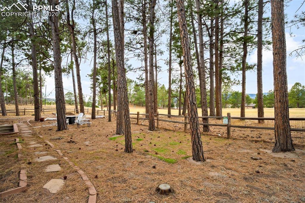 Image 42 of 45: Yard